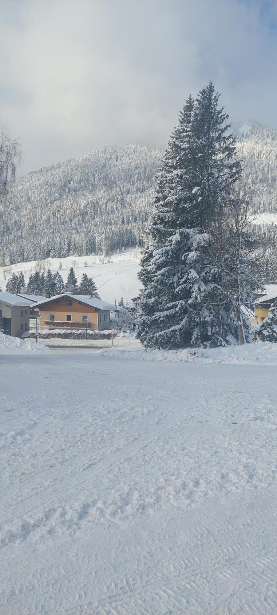 Appartements Haus Bergland ザンクト・マルティン・アム・テンネンゲビルゲ エクステリア 写真